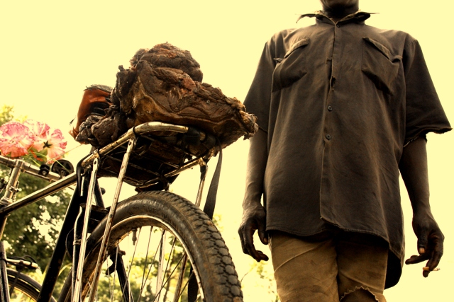 bushmeat